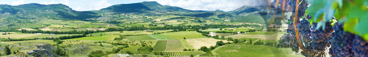 Paysage des Coteaux des Baronnies